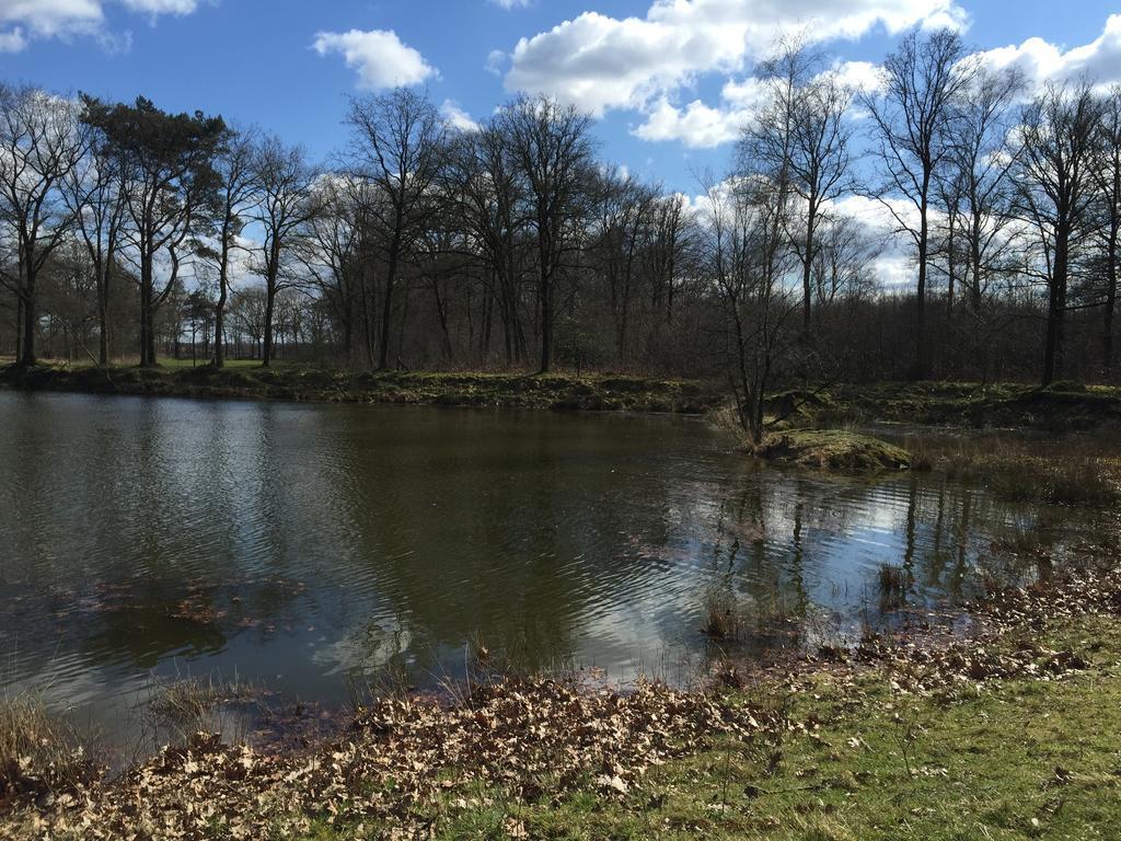 'T Vosseven Vakantiehuizen Stramproy Exterior photo